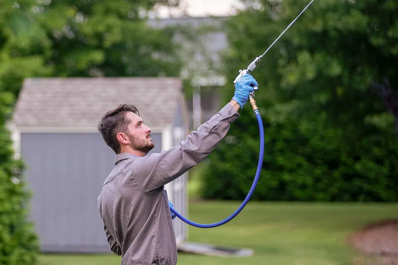 pest-power-spray-side-of-house-card Power spray home for pests